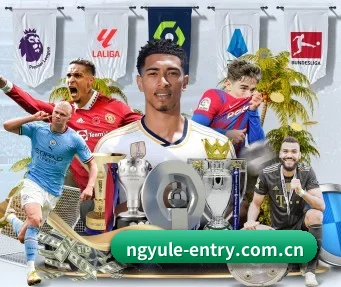 ng娱乐 APP